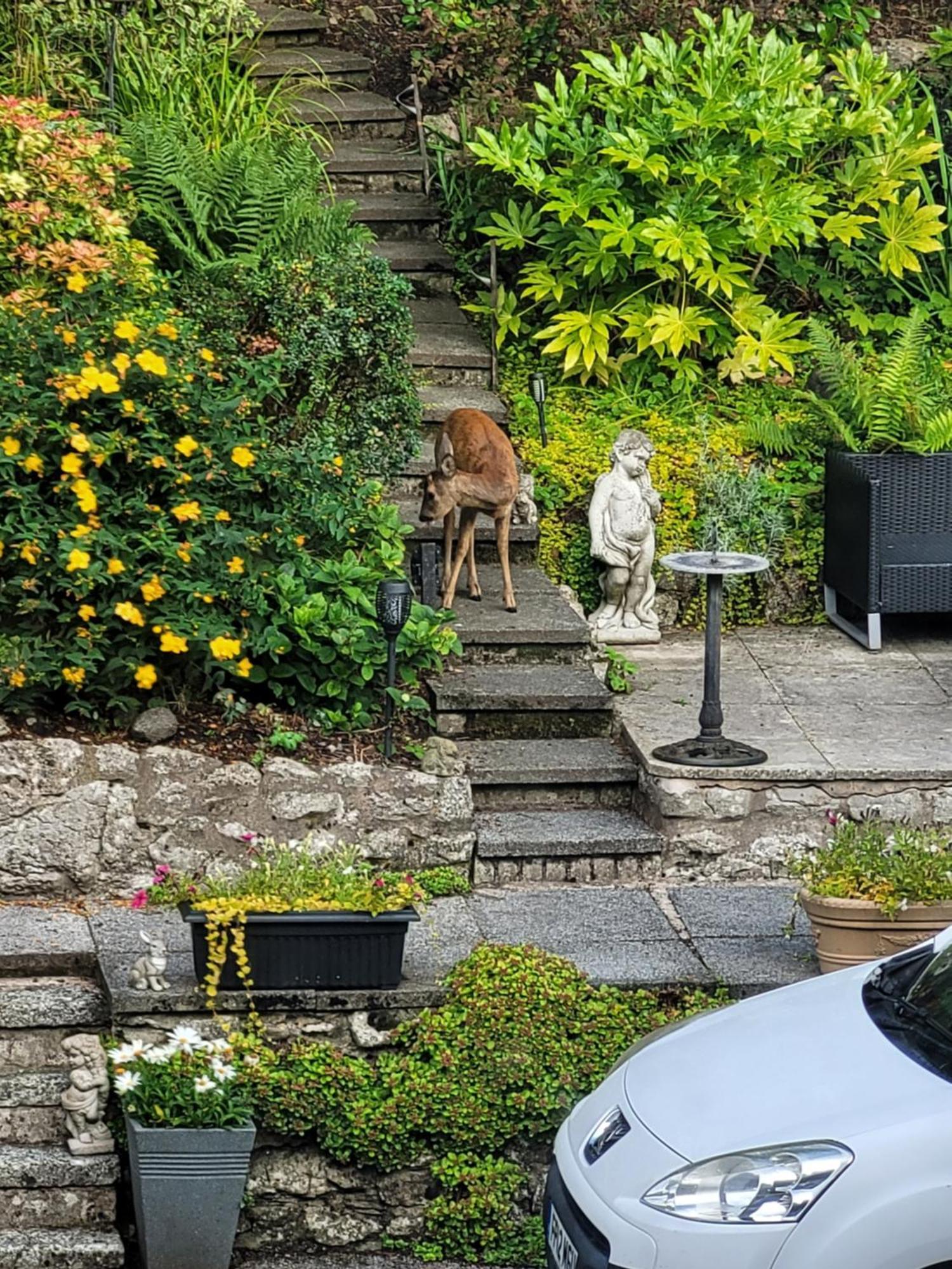 Elton Guest House Grange-over-Sands Exteriör bild